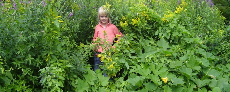 Willemijn in de voorborder